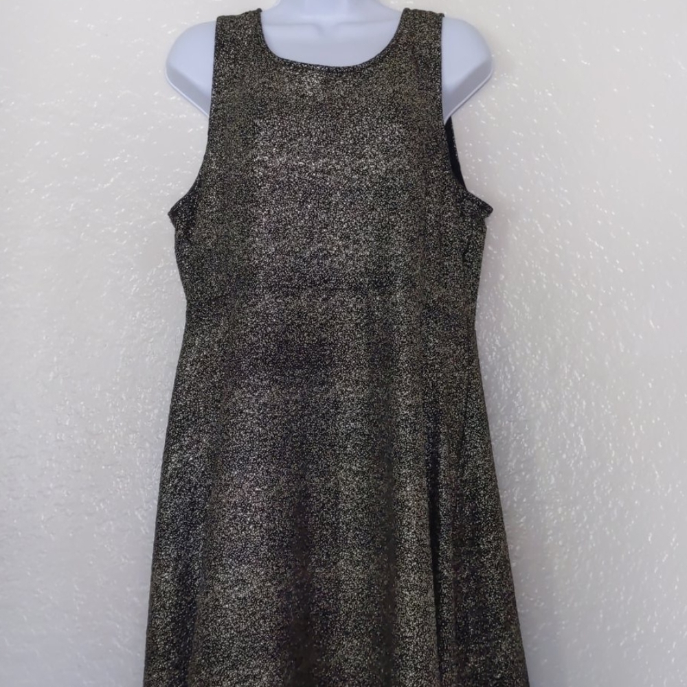 Apt 9 Gold Speck Dress
